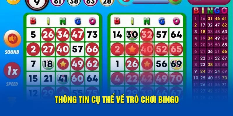 Thông tin cụ thể về trò chơi Bingo 