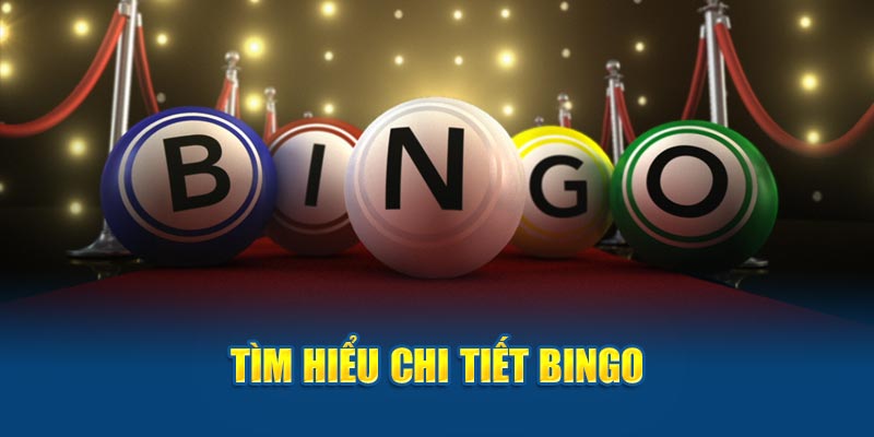 Tìm hiểu chi tiết Bingo là gì